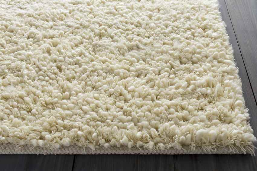 Manassas Modern Ivory Area Rug