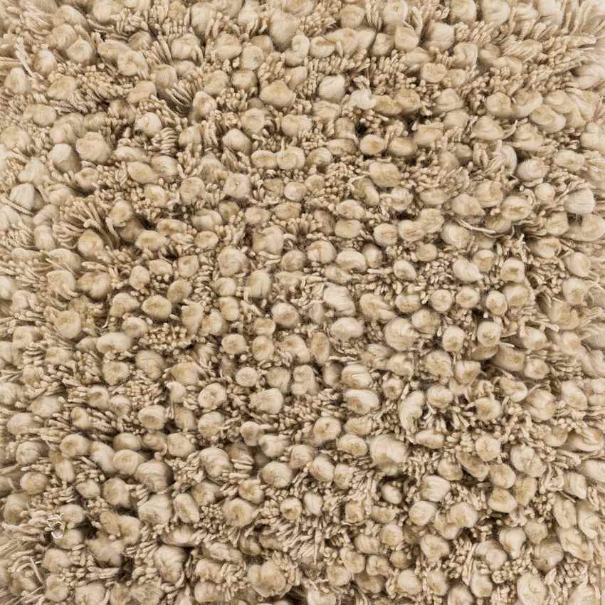 Manassas Modern Tan Area Rug