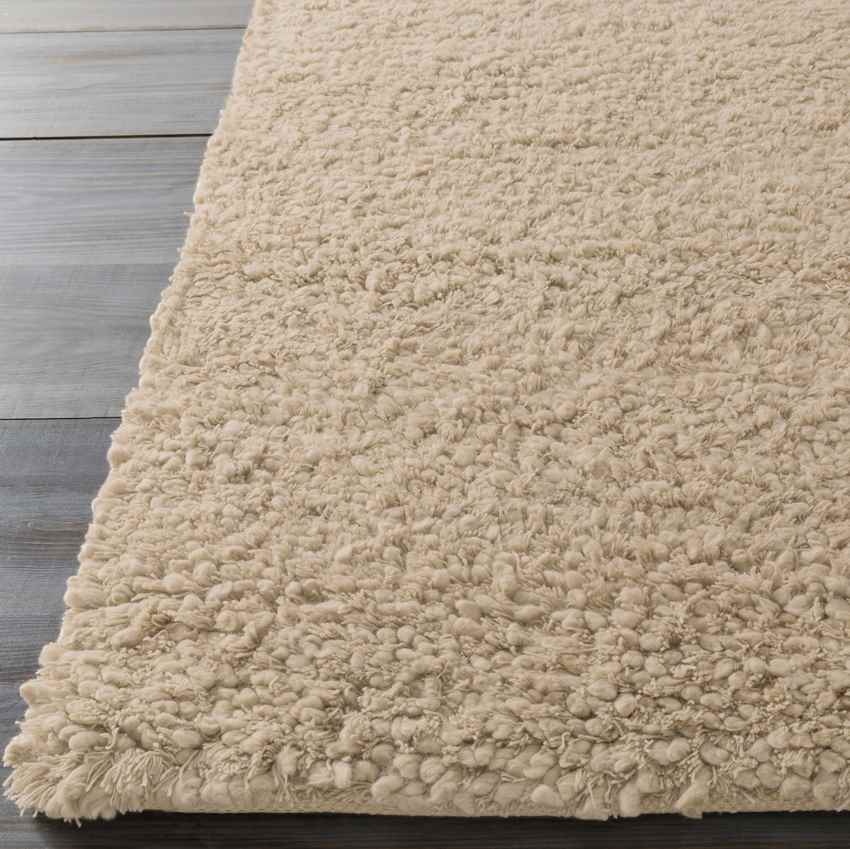 Manassas Modern Tan Area Rug