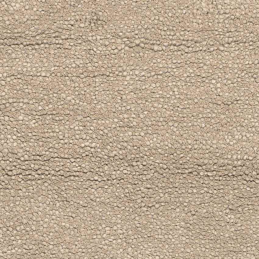 Manassas Modern Tan Area Rug