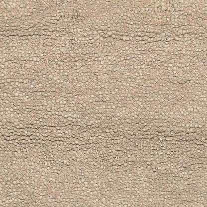 Manassas Modern Tan Area Rug