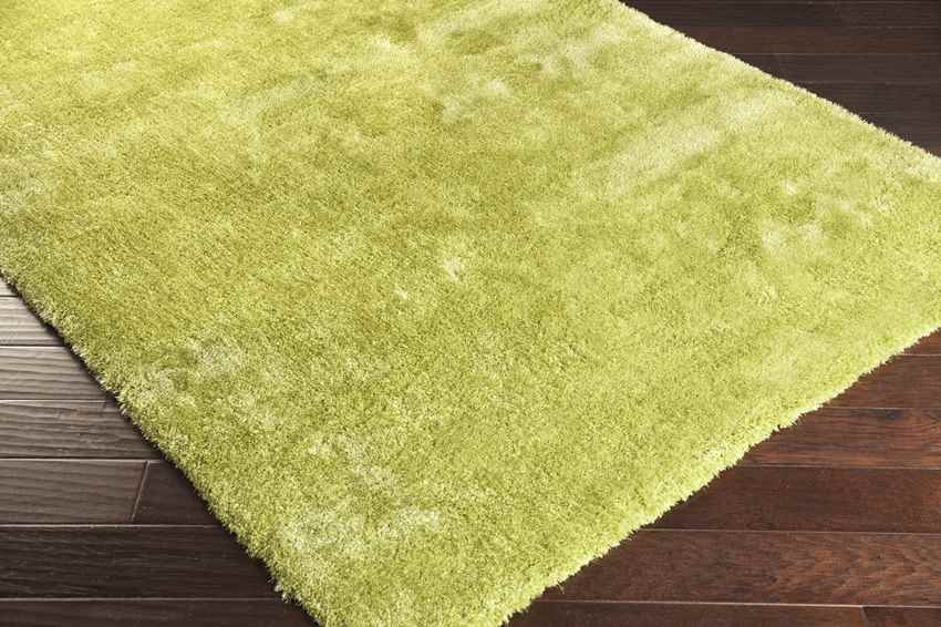 Modesto Modern Green Area Rug