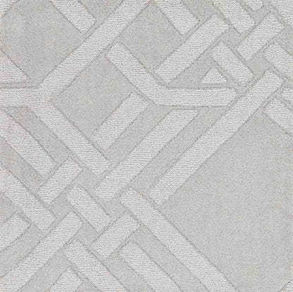 Mosses Modern Light Gray/Slate Area Rug