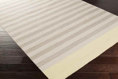 Oconee Modern Taupe/Grey Area Rug