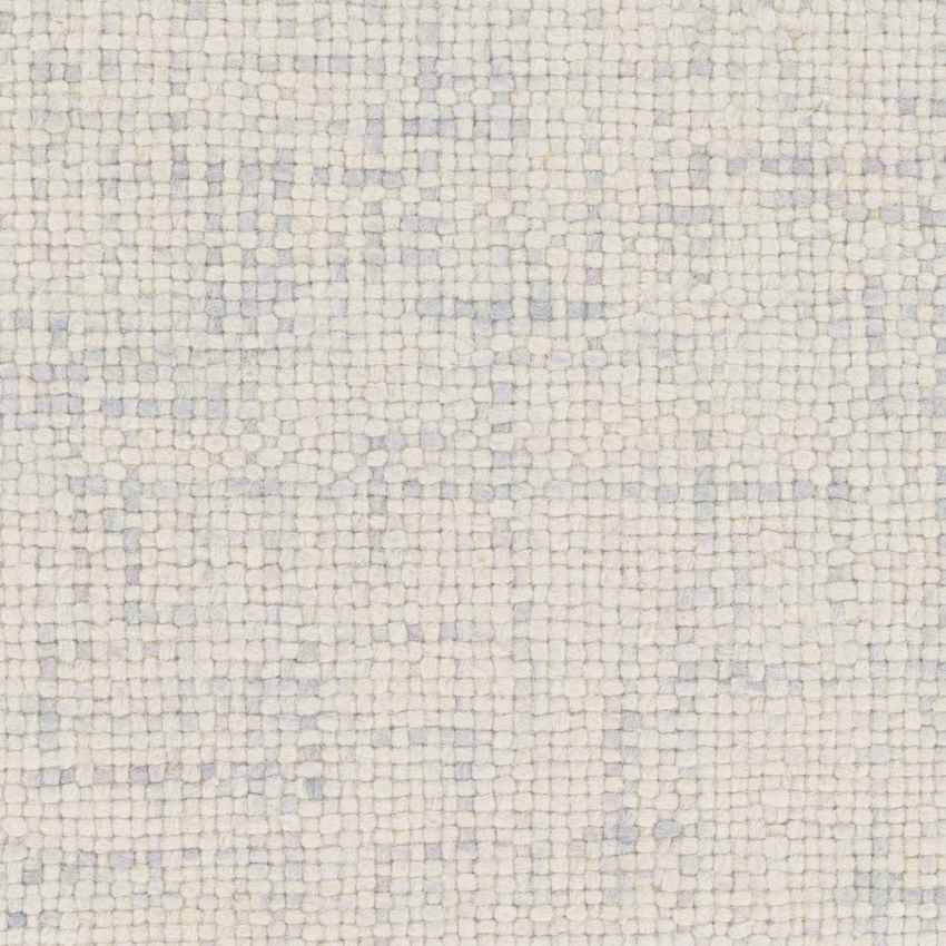 Parrish Modern Medium Gray Area Rug