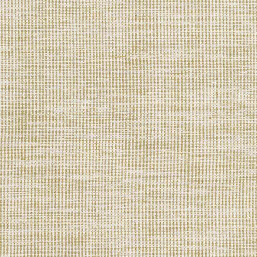 Pembroke Modern Beige/Green Area Rug