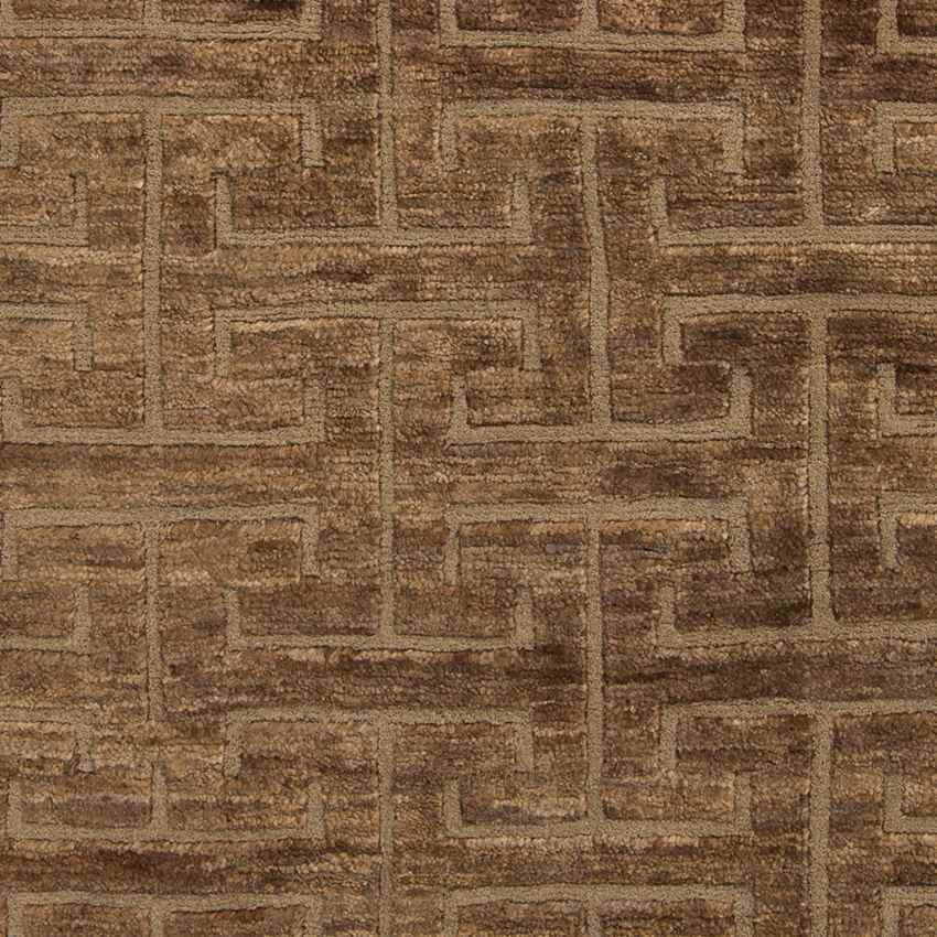 Pennington Global Chocolate/Taupe Area Rug