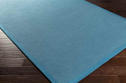 Pinckard Modern Sky Blue Area Rug