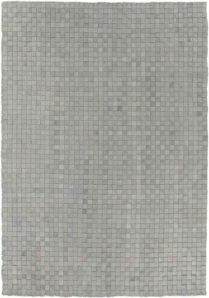 Redlands Modern Gray Area Rug