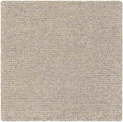 Blackrod Modern Medium Gray Area Rug