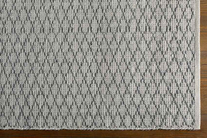Blyth Modern Medium Gray Area Rug