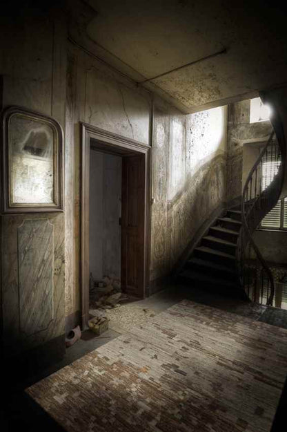 Rockvale Global Tan/Dark Green Area Rug