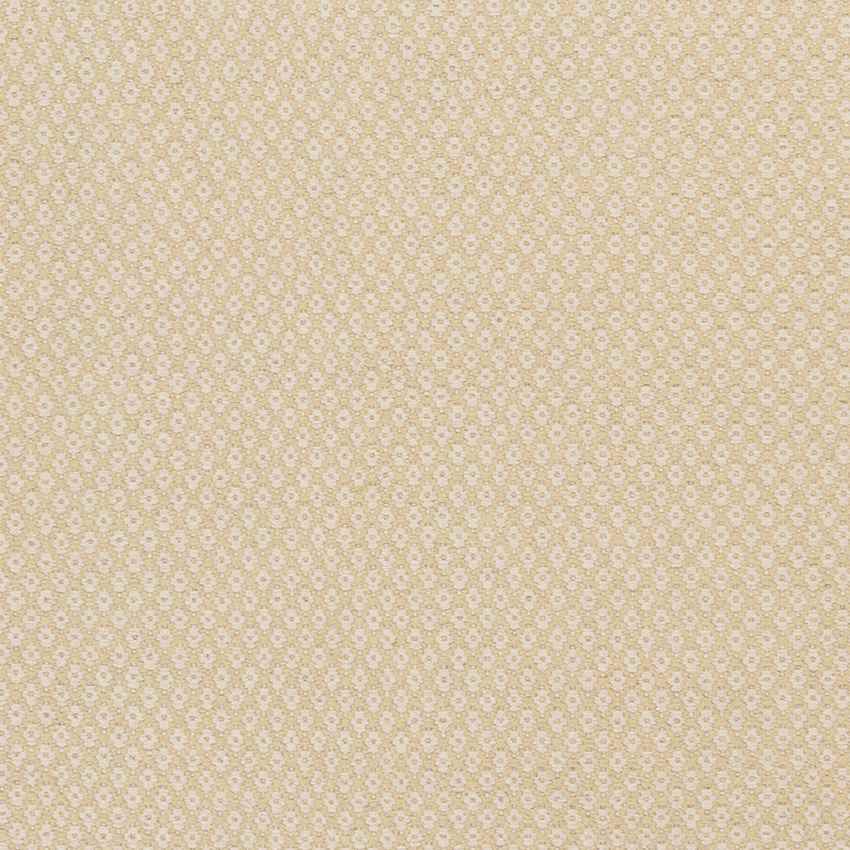 Tranise Cottage Ivory/Olive Area Rug