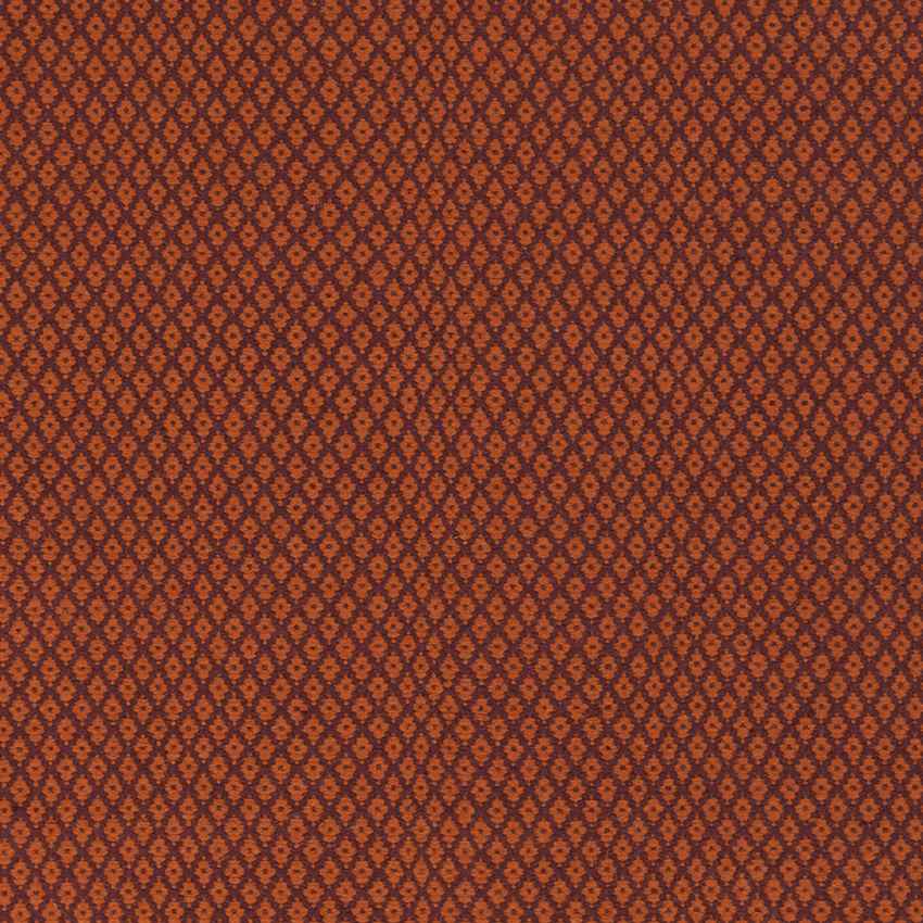 Tranise Cottage Rust Area Rug