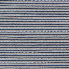 Charlotte Cottage Navy Area Rug