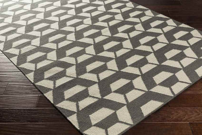 Rosemead Modern Light Gray/Ivory Area Rug