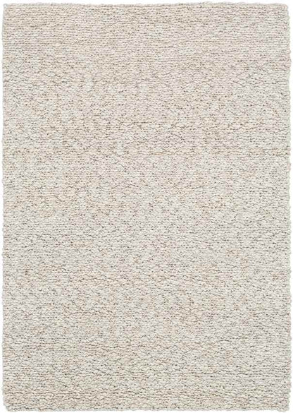 Braintree Modern Beige Area Rug