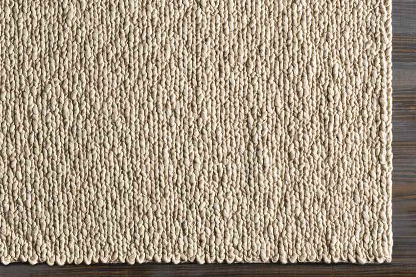 Braintree Modern Beige Area Rug