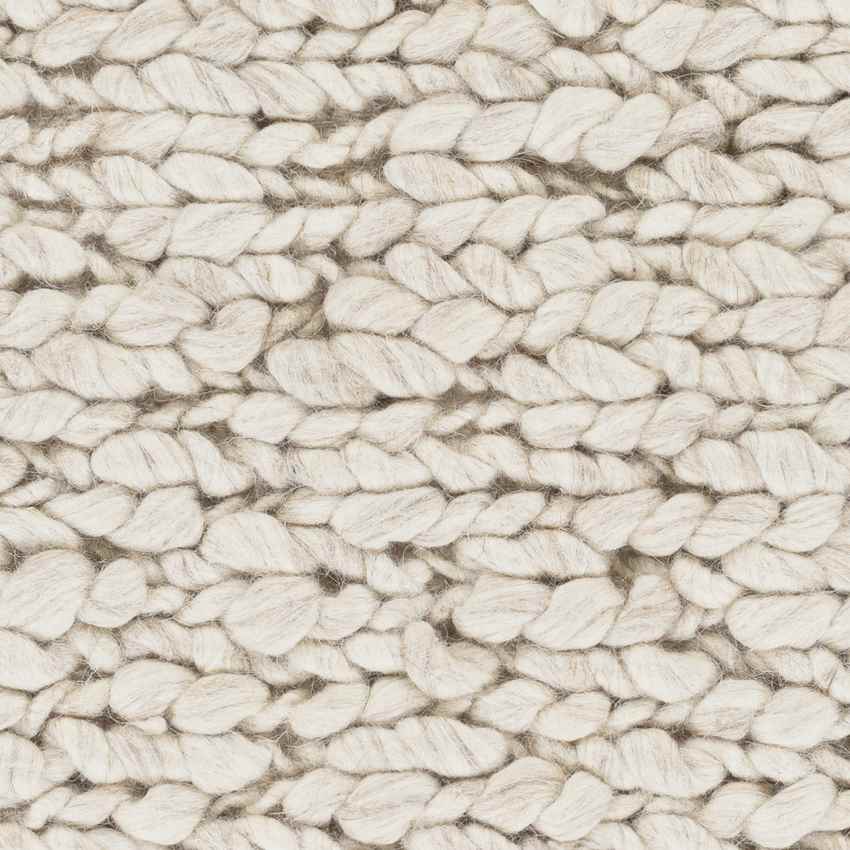 Braintree Modern Beige Area Rug