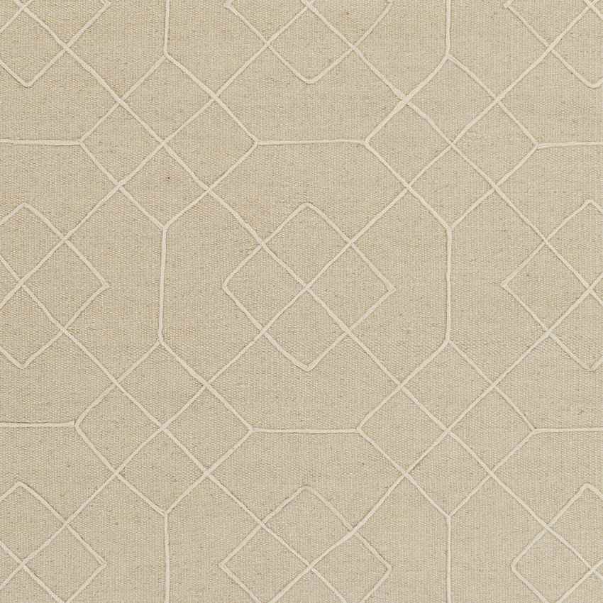 Salesville Modern Ivory Area Rug