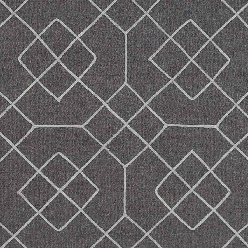 Salesville Modern Charcoal Area Rug