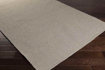 Brandon Modern Light Gray Area Rug