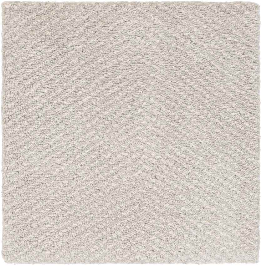 Brigg Modern Light Gray Area Rug
