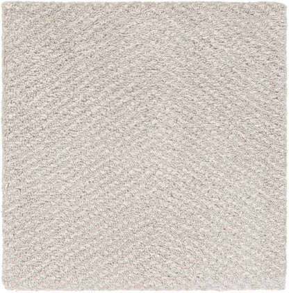 Brigg Modern Light Gray Area Rug