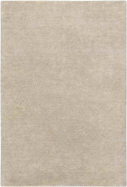 Brigg Modern Light Gray Area Rug