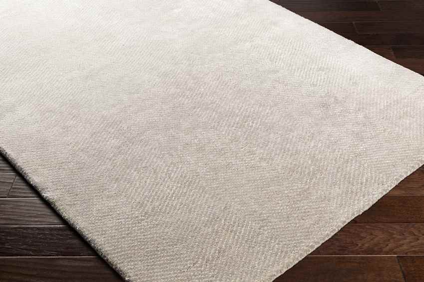 Brigg Modern Light Gray Area Rug
