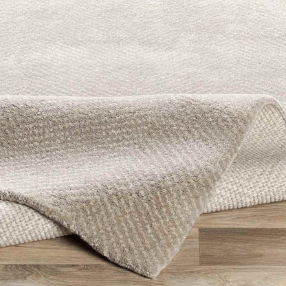 Brigg Modern Light Gray Area Rug