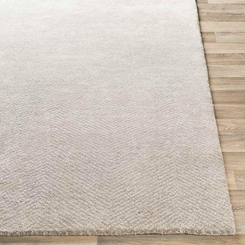 Brigg Modern Light Gray Area Rug