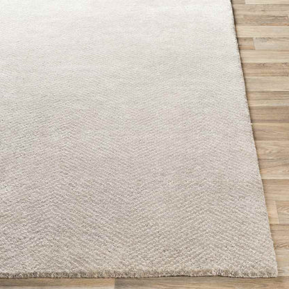Brigg Modern Light Gray Area Rug