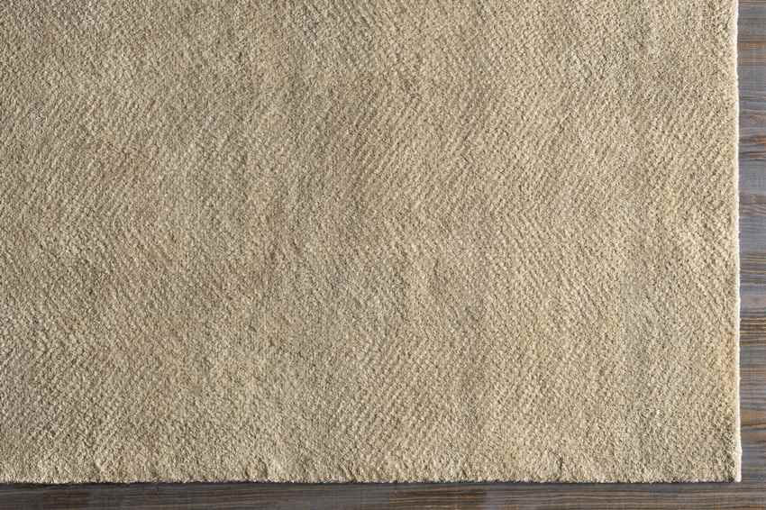 Brigg Modern Light Gray Area Rug