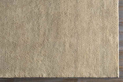 Brigg Modern Light Gray Area Rug