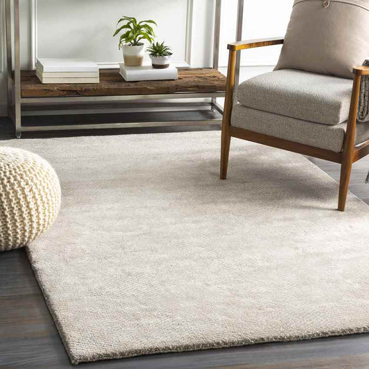 Brigg Modern Light Gray Area Rug