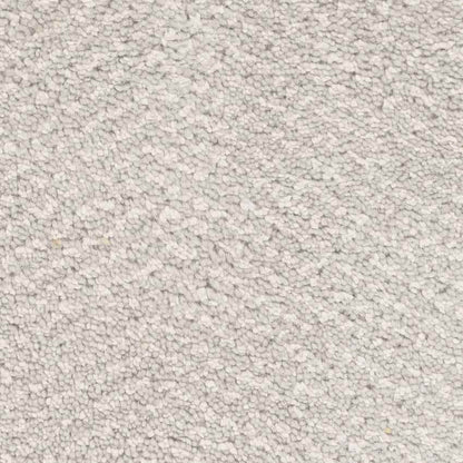 Brigg Modern Light Gray Area Rug