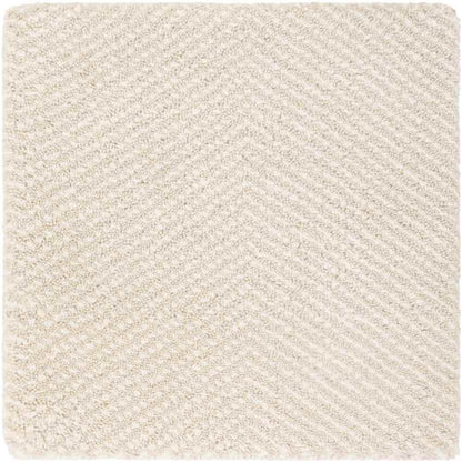 Brigg Modern Beige Area Rug