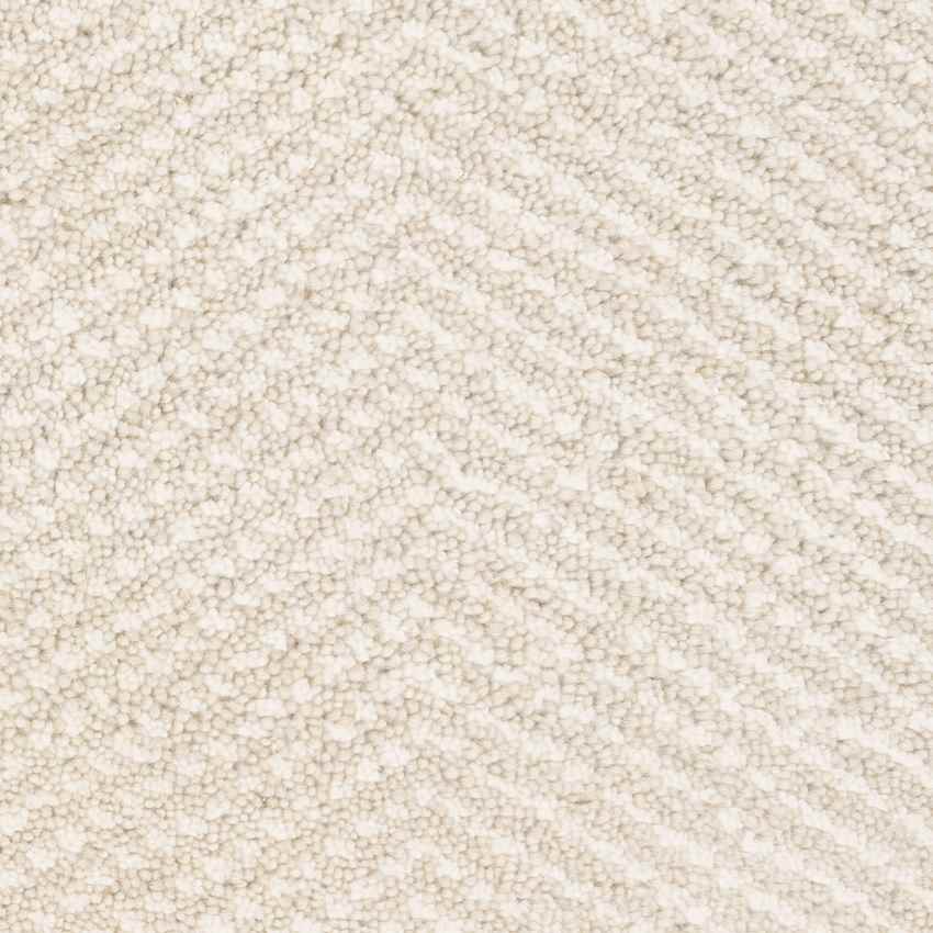 Brigg Modern Beige Area Rug