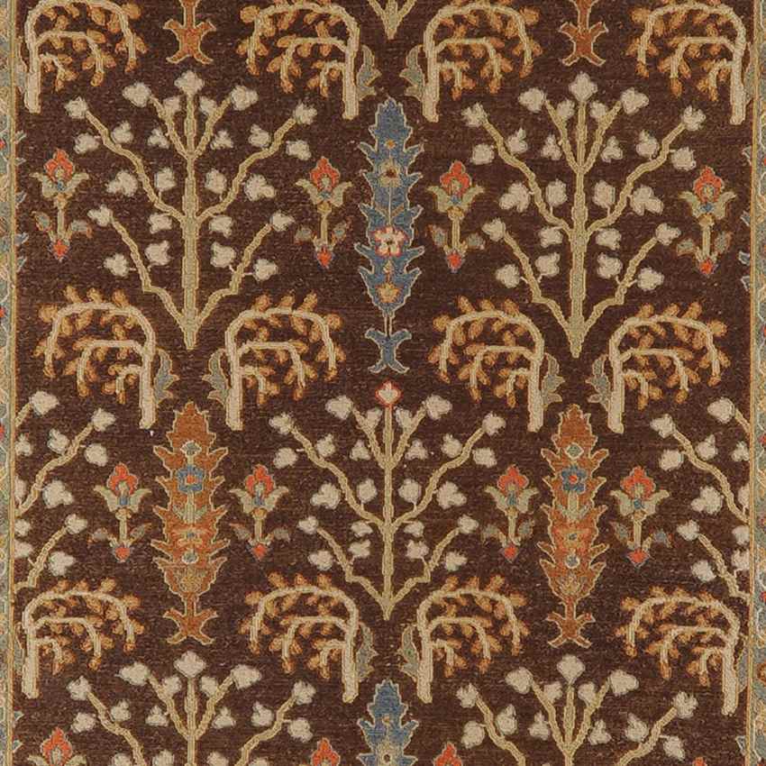 Haxby Traditional Brown Area Rug
