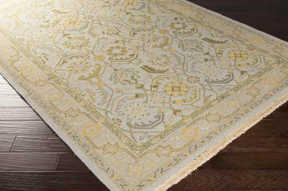 Sylvan Traditional Pale Blue Area Rug