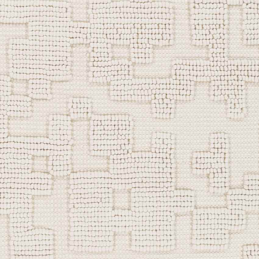 Traskwood Modern Ivory Area Rug