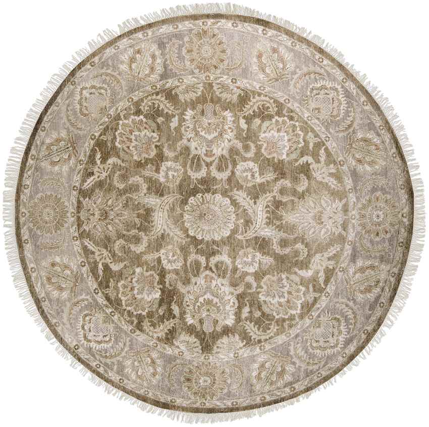 Vilonia Traditional Ivory Area Rug
