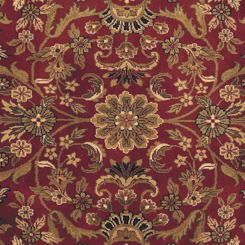 Waldenburg Traditional Burgundy Area Rug