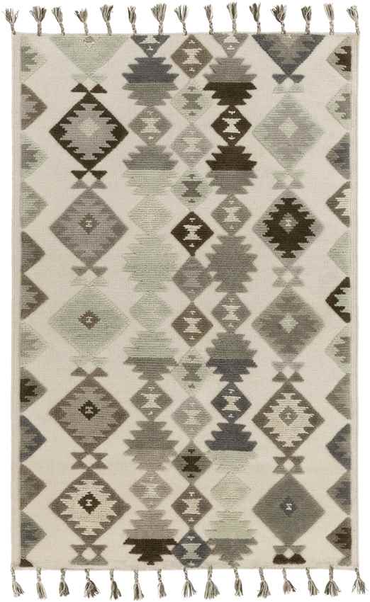Washington Global Beige/Gray Area Rug