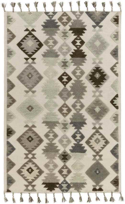 Washington Global Beige/Gray Area Rug