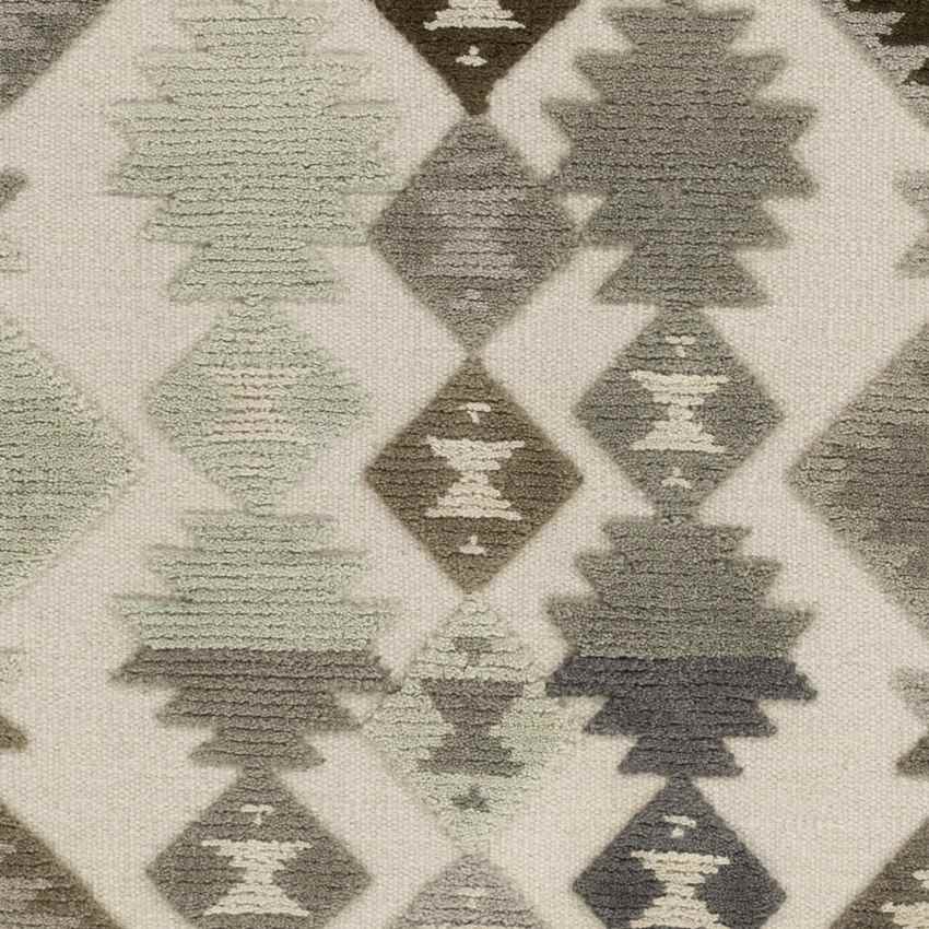 Washington Global Beige/Gray Area Rug
