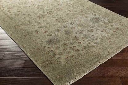 Waterbury Traditional Dark Beige Area Rug