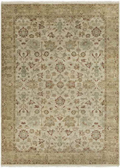 Waterbury Traditional Dark Beige Area Rug