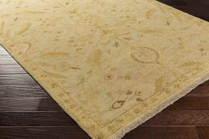 Watkinsville Traditional Brown Area Rug